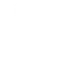 Custom Web Development