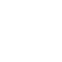 Wordpress Development